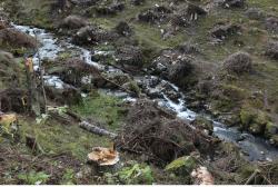 Photo Textures of Nature